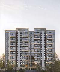 ˵ƺߵĴסլͳˣڰ쿨ˡ