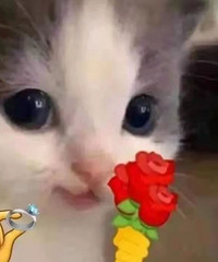 ��̹����ĵ��Ƕθ��飬��������ô��ʶ�ģ�