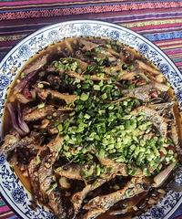 ֵ���Ƽ�����ʳ����̫����ׯ������:�㶴