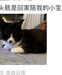 �����ҪһЩ��ͷ��û����ͷ��Ҳ̫��Ȥ�ˣ�������ҵĿ���С��