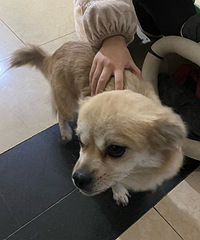 ������С���Һ���������