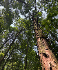 踏上南山十二峰的征途时我满是豪情壮志,可谁能料到一切都变了样