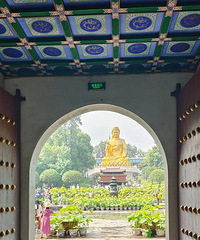 ����|����������ի��������ȫ����(���°�)