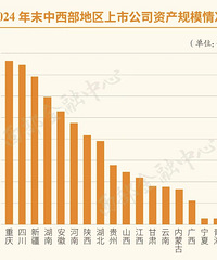 �������й�˾�ʲ���ģ��������һ