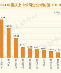 �������й�˾�ʲ���ģ��������һ