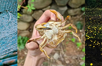 ����2�조Ȥ��������ө����ؾ�������Ϸˮ׽з