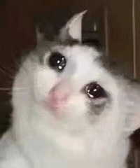 ���������ˣ��ְ�Ҫ�Һ���һ���ӣ����Ҿ���������