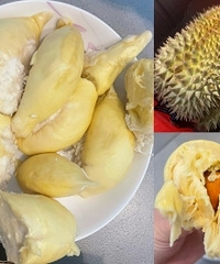 ����������������û���ף��Լ۱�Ҳ�ܸ�