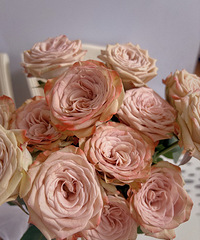 �þ�û���򿨲��ˣ�һֱ������������ʽ�е���