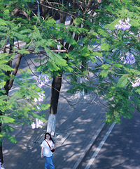 ͷµ麿鴩ǳɫ·ĵԺȥ