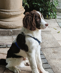 ��������͡���������2��