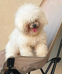 ����1�꽡��������������