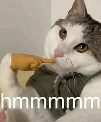 ��ͶƱ��5�·��������½���0.1%�������Ϊ���ʽ��˶�ȥ��