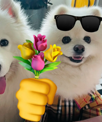 ����100���ر��ʳ��ߵ�С�£��ҵ��ʺ��Լ��Ľ���