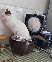 ��������è����ô����