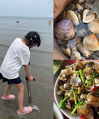防城港赶海详细攻略,绝对收获满满