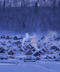 77공޴ƽҵ飬ϣԷҲǶ