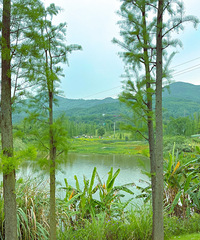 ������ͷ΢�磬���ʺ�¶Ӫݼ�ƺ���԰