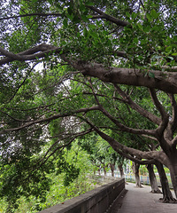 �������ʿ���