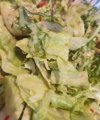 ��������һ�죬����������ԡ�