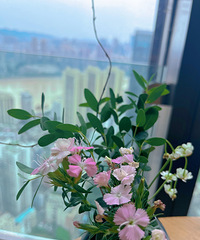 ��������+ά����C=���շݻ�����ֵ�ɹ�