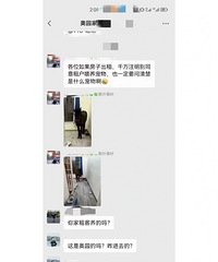 邻居同意租户养宠物,没想到,他们在屋头养了匹马