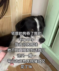 [ְ��]����ʱHR�����컨��׹����ְ��ɵ���ˣ�ţ�����Ӿ���