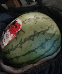 ��ɳƺ�������кþ���һ��ֻҪһԪ�����