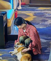 03��158CM�İ�������ǻ��ʿ���飬�������Ρ����պͳ���