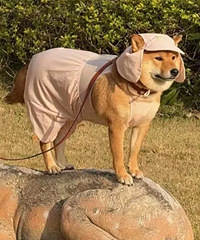 ��˵�еġ��˸�ѹ¹����