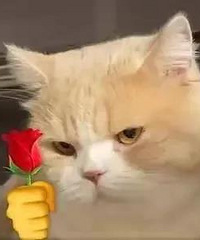 С�����������Ϲ��������˶�˵���˷����಻ֹ��Щ