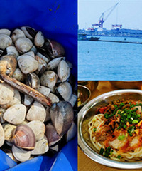 5���Լ�ȥ���ݣ��Ϻ����˷ۺ���