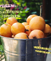 今年实现了水果自由