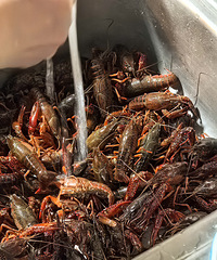 ����С��Ϻ������Ϻ��ϴϺ�����ƶ���һ���˸㶨