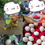 儿童节带娃去农场撒欢