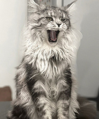 ������è���㲻���Ǵ��У�