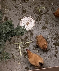 ǧ��Ҫ���ϵ�������ò��ң��ھ���¥������