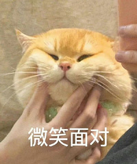 ��δ�������涼��г��׼������һ�仰�����ҽ����