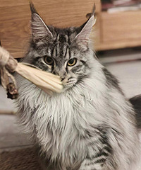 �����������������ɹɹ