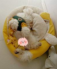 �뿴�����Ǽ����ӵ�˯��