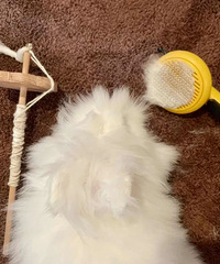 [ղ]һЩͳɱɱļڼƻլԿɣ