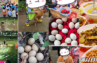 ����+��ͯ��˫�ڿ��ַ���������ȥũ������һ����