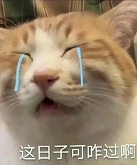 �Ϲ����������̸��ҺܶභС���ı��£����Һ���