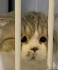 ����̥�󣬼���Ͳ�̫ƽ�ˣ������ҵĹ�����������·