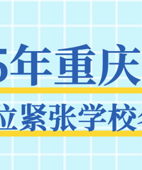 想冒险摇号又怕被统筹?今年政策帮你兜底