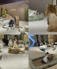 ���è����è������ܼ��־�֢������