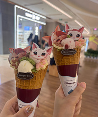 ������˹����ܳ�����