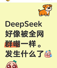 ��Щ����DS�Ľ�������