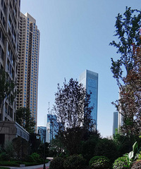 ������ɽ��������