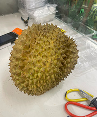 �ٷ�����ԵĴ�����������������ĺܺóԣ�